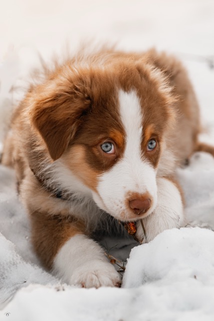 0A8A9514 Modifier Moyenne